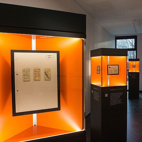 Wanderausstellung "Alles Wissen Wollen" Blick in die Wanderausstellung. Zu sehen sind mehrere Stelen mit Glasvitrinen, in denen sich Dokumente, Fotos und Objekte befinden.